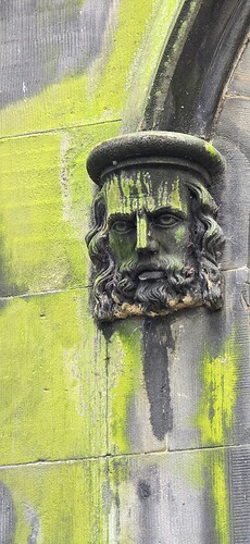 Head and lichen